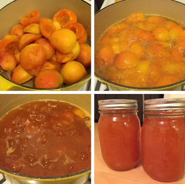 4 pictures showing the steps of preparing apricots, cooking them, and after they have been processed into canning jars. 